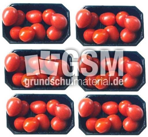 Tomaten-6x9.jpg